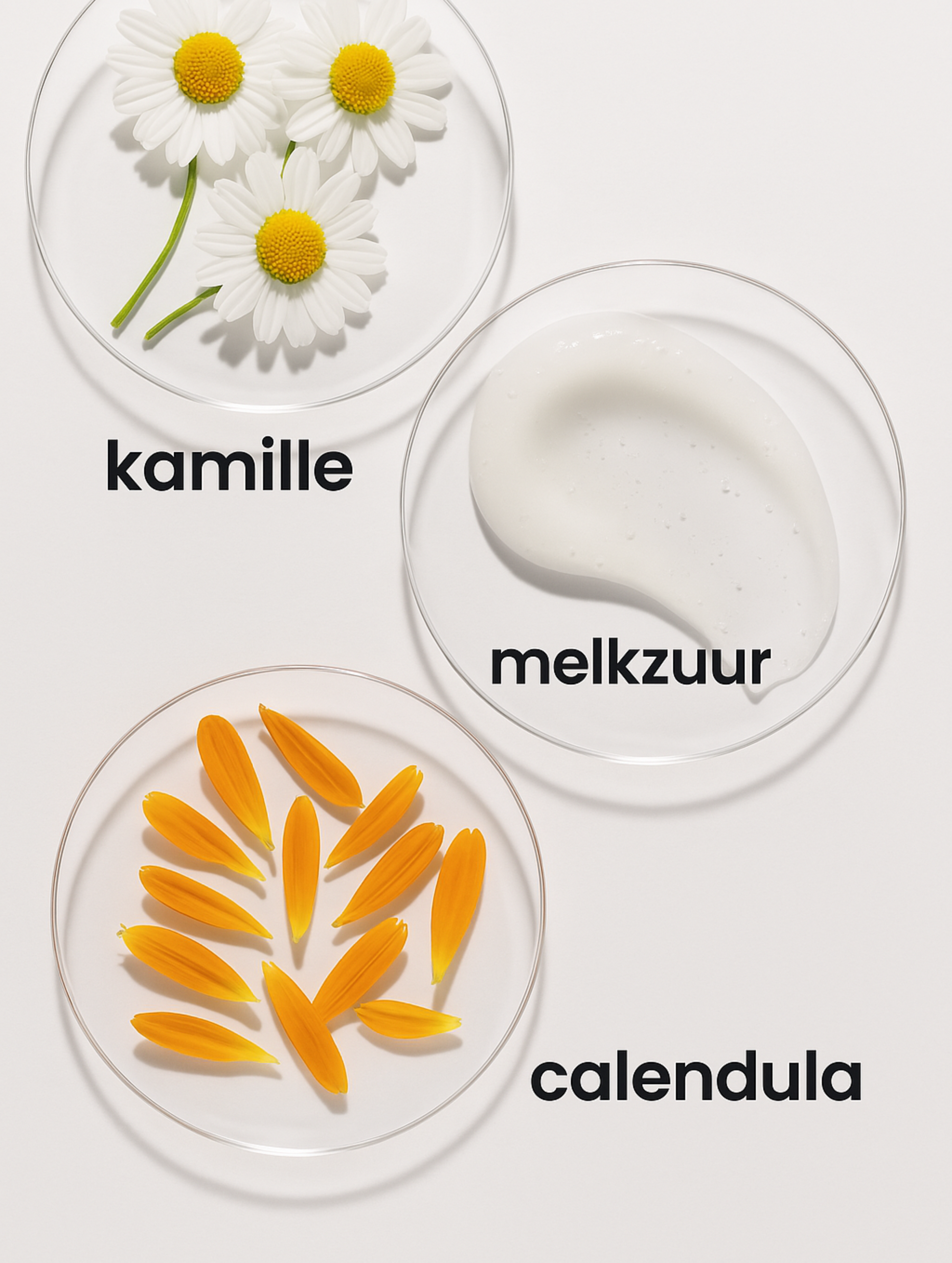 reinigen met melkzuur ingredienten