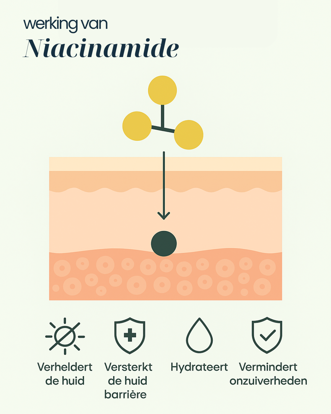Niacinamide Gel Moisturizer | Egaliseert & Hydrateert